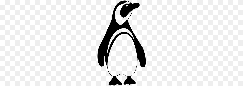 Penguin Gray Free Png Download