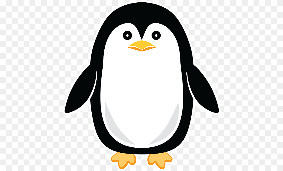 Penguin, Animal, Bird Png