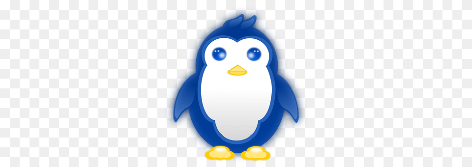 Penguin Animal, Bird, Nature, Outdoors Png