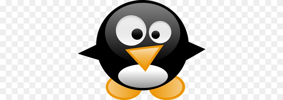 Penguin Free Png Download