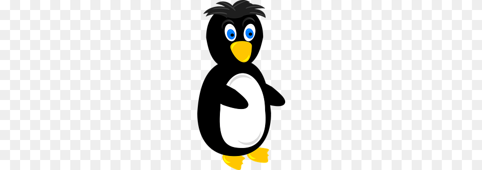 Penguin Animal, Bird, Nature, Outdoors Png Image