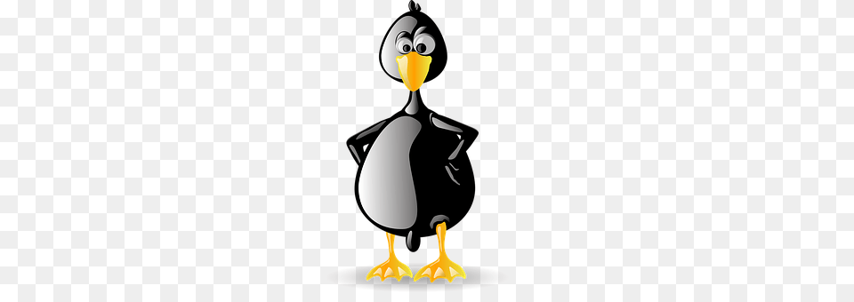 Penguin Animal, Bird, Waterfowl, Nature Png Image