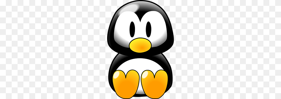 Penguin Disk, Animal, Bird Free Transparent Png