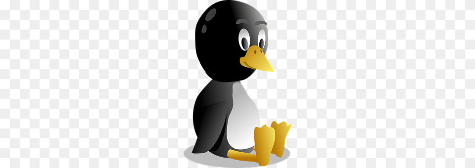 Penguin Animal, Bird, Duck, Beak Png