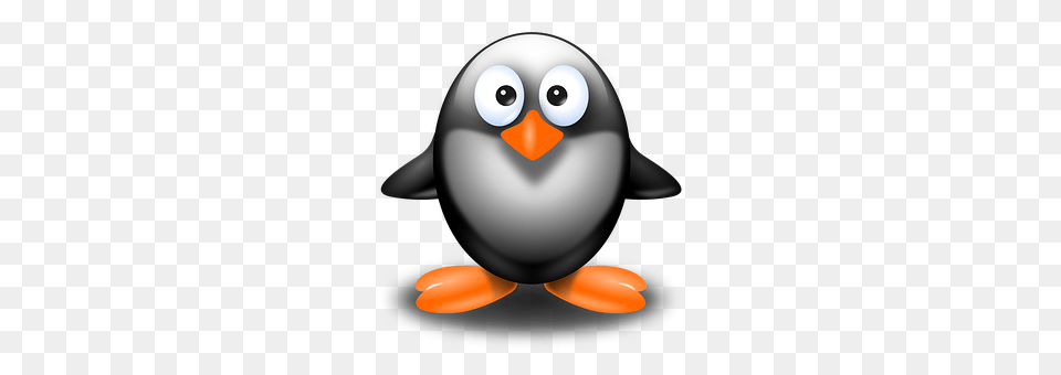 Penguin Animal, Bird, Disk, Nature Free Transparent Png