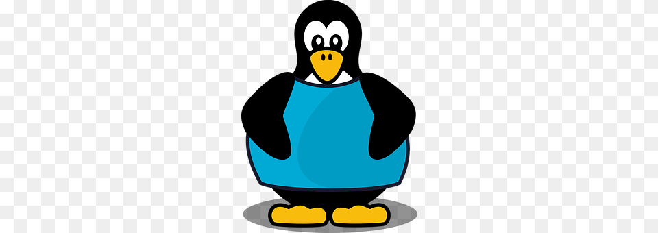 Penguin Animal, Bird Png