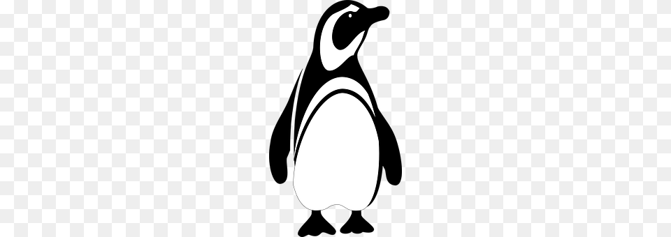 Penguin Animal, Bird Free Transparent Png