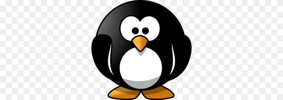 Penguin Animal, Bird, Fish, Sea Life Png