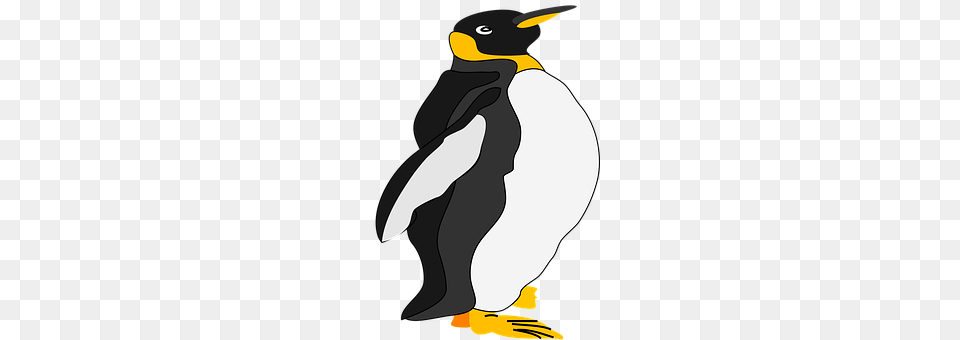 Penguin Animal, Bird, King Penguin Free Transparent Png