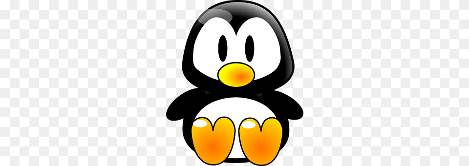 Penguin Animal, Bird, Nature, Outdoors Png Image