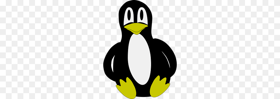 Penguin Animal, Bird Free Png