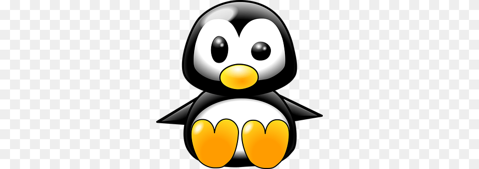 Penguin Animal, Bird Free Png