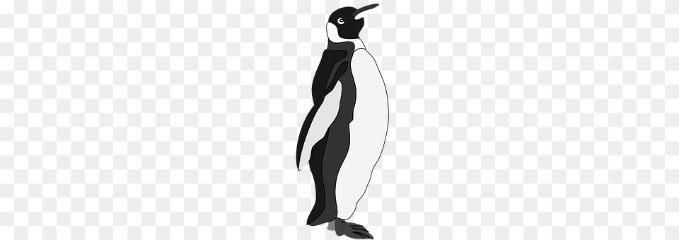 Penguin Animal, Bird, Person, King Penguin Free Png Download