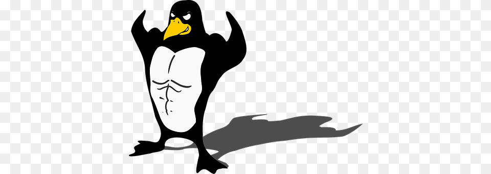 Penguin Animal, Beak, Bird, Face Png