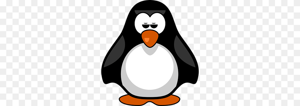Penguin Animal, Bird, Person, Head Png