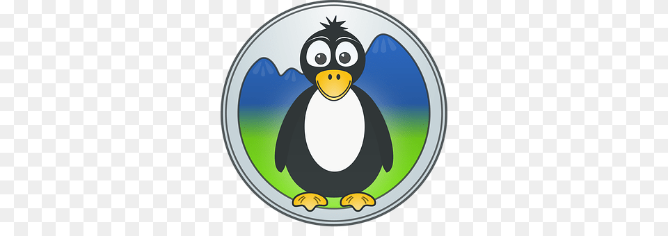 Penguin Disk, Animal, Bird Png