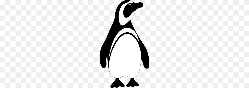 Penguin Stencil, Logo, Computer Hardware, Electronics Free Png