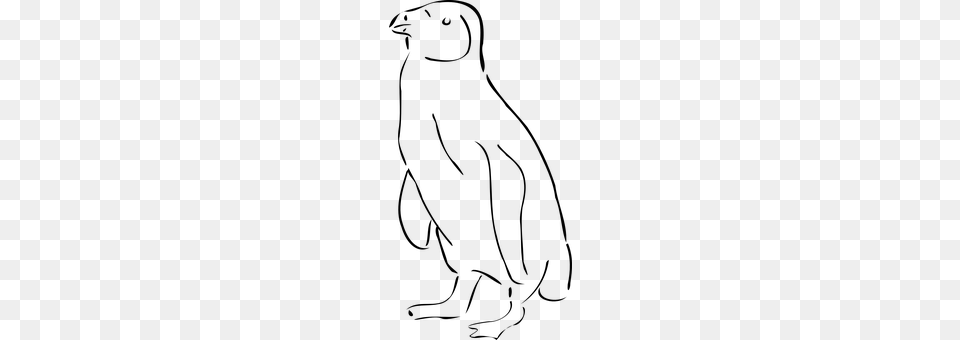 Penguin Gray Free Png Download