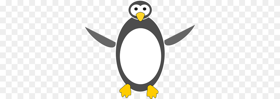 Penguin Animal, Bird Png Image
