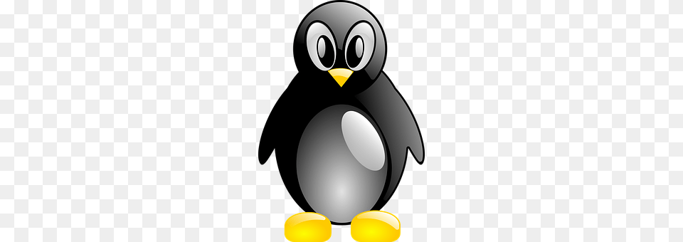 Penguin Animal, Bird, Appliance, Blow Dryer Free Transparent Png