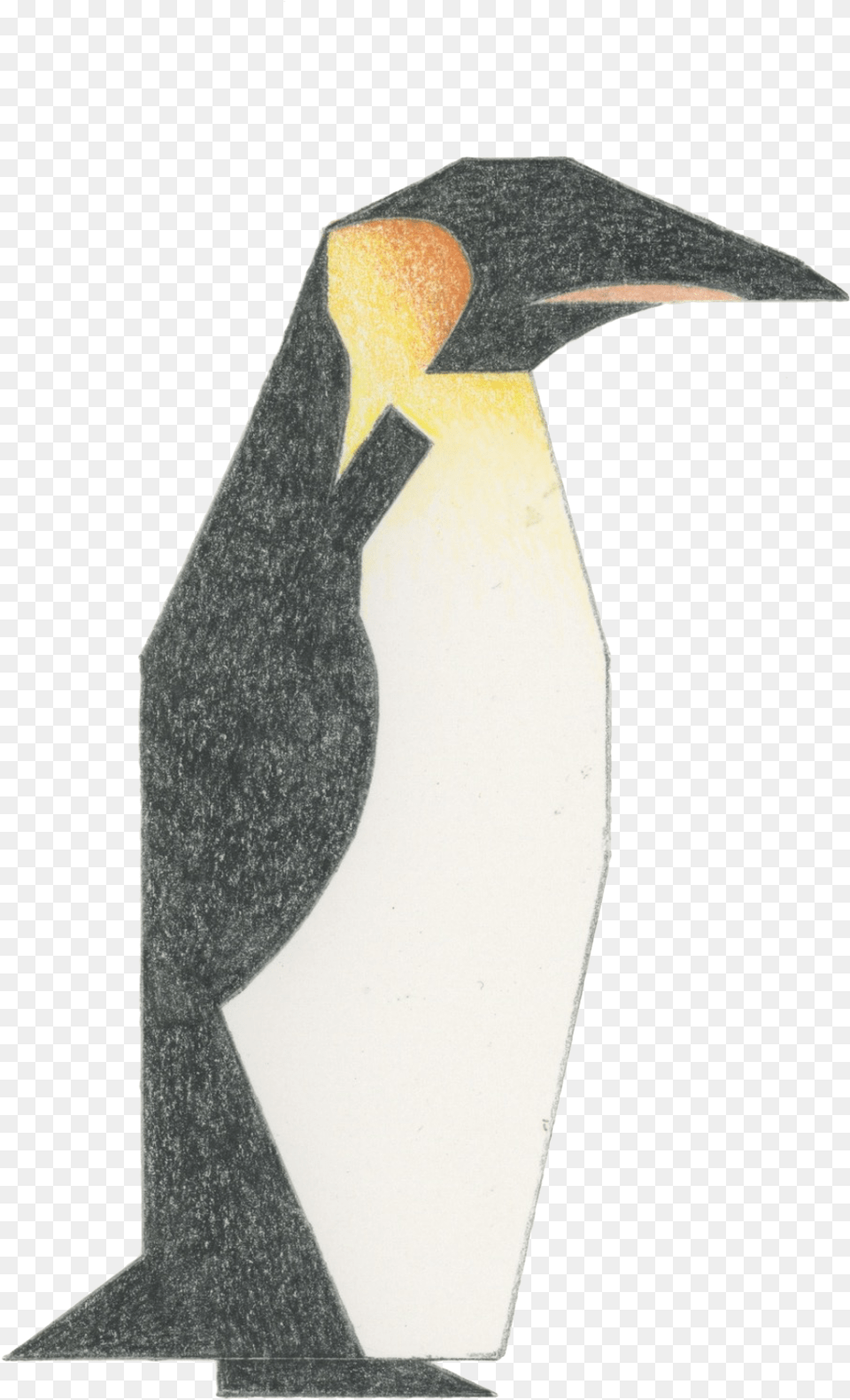 Penguin, Animal, Bird, King Penguin, Adult Png