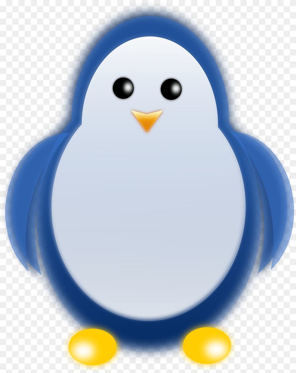 Penguin, Animal, Bird Free Png