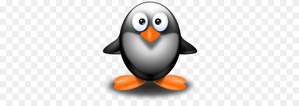 Penguin Animal, Bird, Disk Png Image