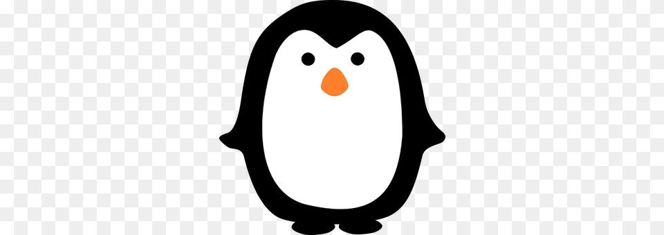 Penguin Animal, Mammal, Rat, Rodent Free Png Download