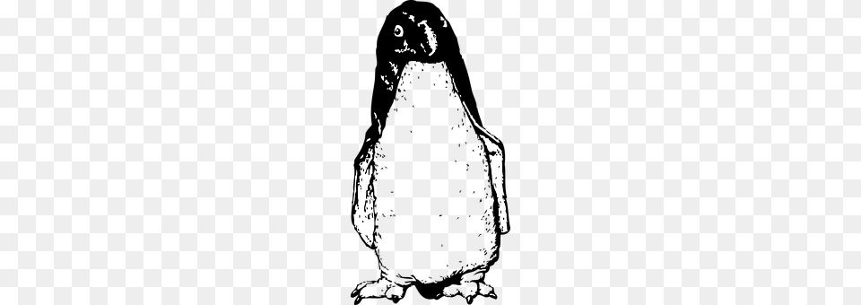 Penguin Silhouette, Animal Png Image