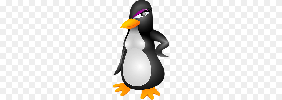 Penguin Animal, Beak, Bird Png