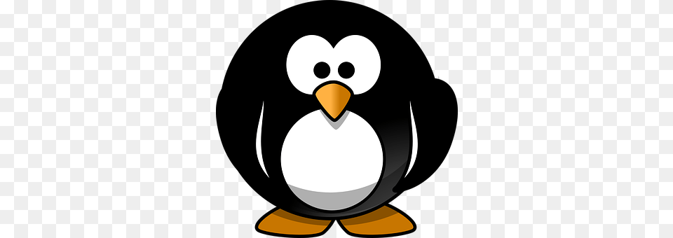 Penguin Animal, Bird, Fish, Sea Life Png Image