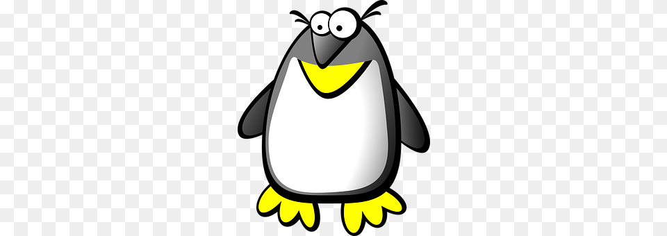 Penguin Animal, Bird, King Penguin, Mammal Free Png Download