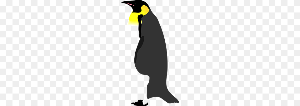 Penguin King Penguin, Animal, Bird, Wedding Png Image