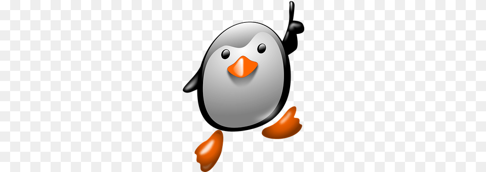 Penguin Animal, Bird, Puffin Png Image