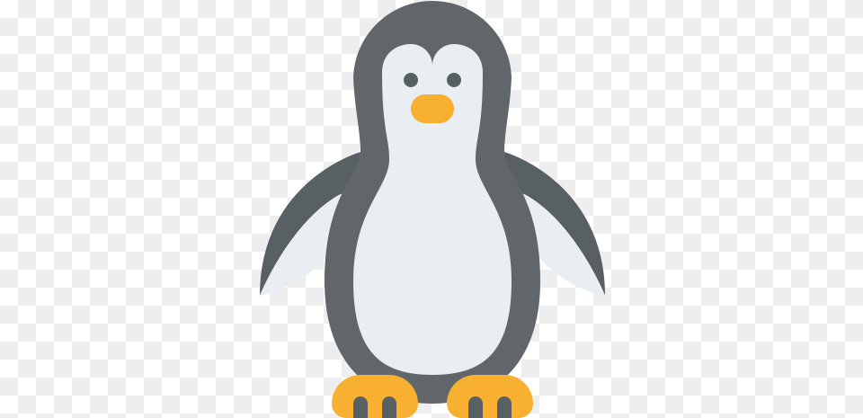 Penguin Animals Icons Dot, Animal, Bird, Nature, Outdoors Png Image