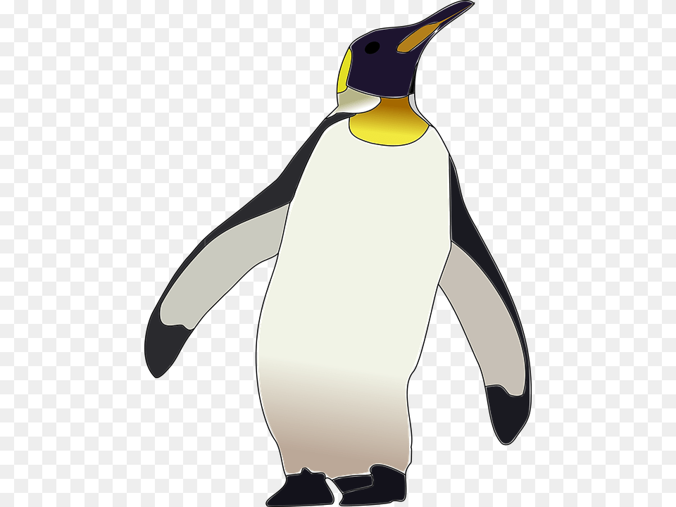 Penguin Art Transparent Background, Animal, Bird, King Penguin, Person Free Png