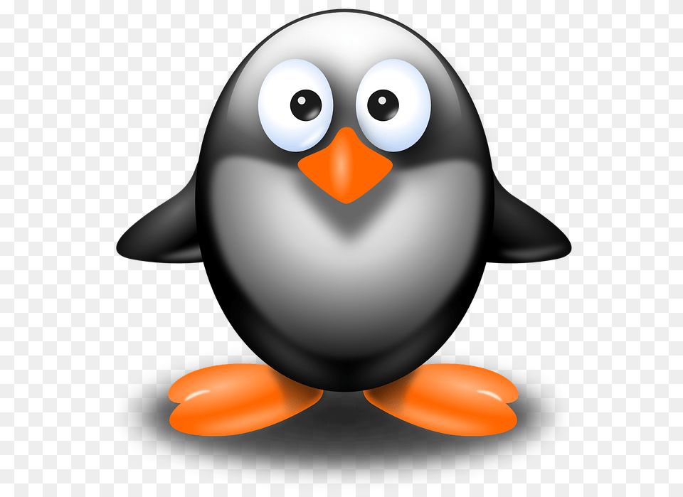 Penguin Bird Animal Wildlife Polar Antarctica Pinguino Clipart Png Image