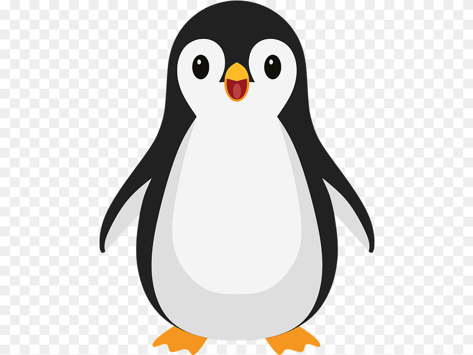 Penguin Bird Cartoon Cartoon Cute Penguin, Animal Png Image
