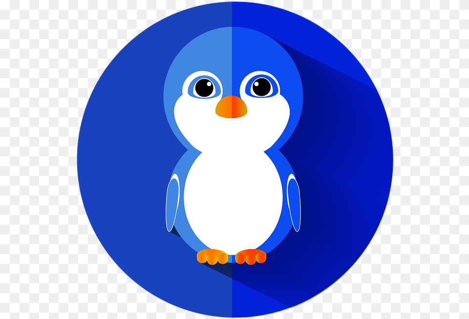 Penguin Bird Flat Icon Ikon Lucu, Animal Free Png