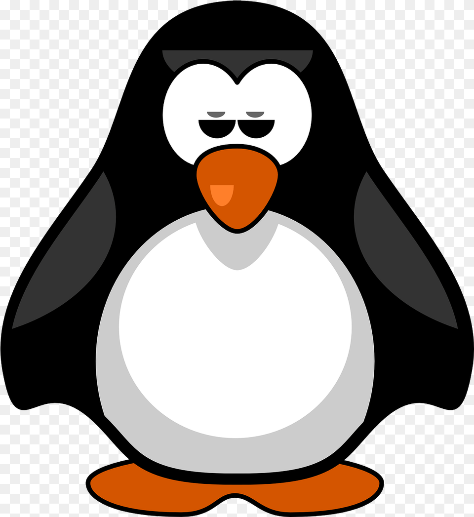 Penguin Bird Flightless Wildlife Nature P For Penguin Clipart, Animal, Face, Head, Person Free Png Download