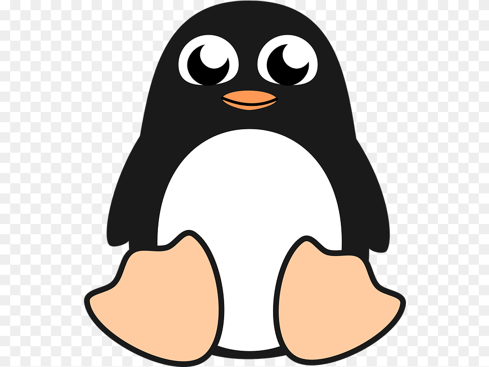 Penguin Bird Linux Vector Graphic Penguin Art Clip, Animal, Clothing, Hardhat, Helmet Png Image