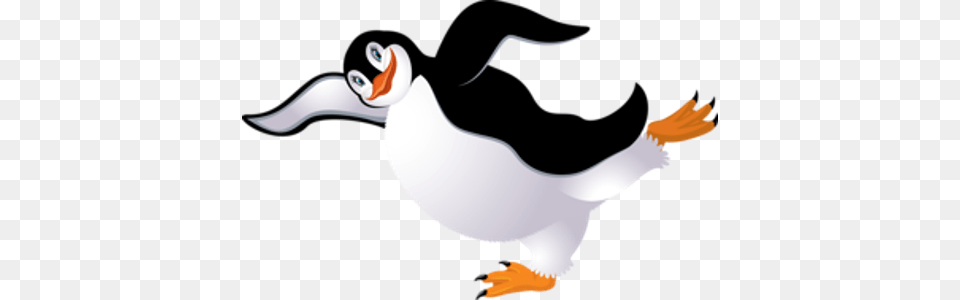 Penguin Cartoon Clip Art Bird, Animal, Beak, Puffin, Person Free Png