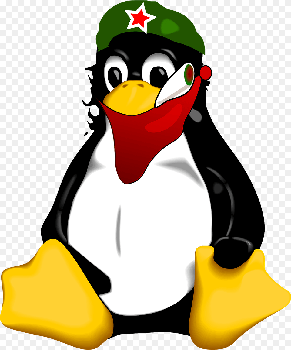 Penguin Che Guevara Clipart, Animal, Bird, Nature, Outdoors Png Image