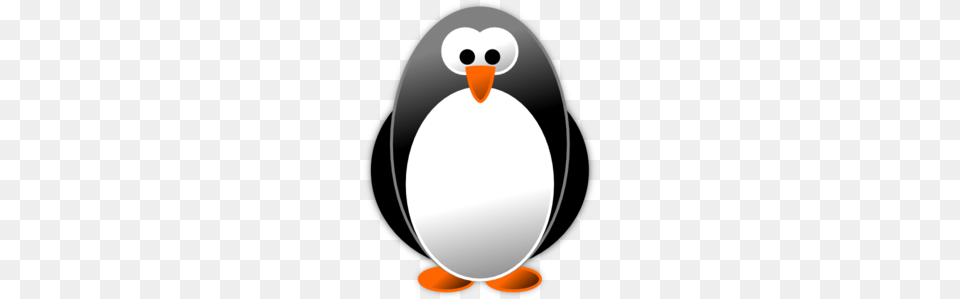 Penguin Clip Art, Animal, Bird Free Png