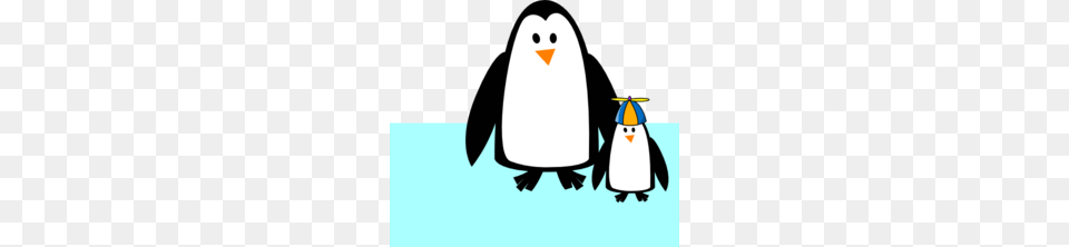 Penguin Clip Art Black And White Clipart Penguin Clip Art, Animal, Bird Free Transparent Png