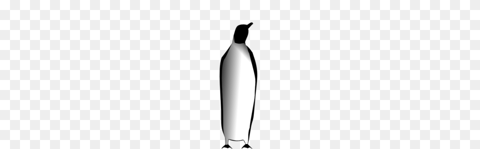 Penguin Clip Art For Web, Lighting, Jar Png