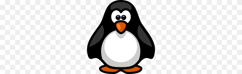 Penguin Clip Art Free Look, Animal, Bird Png