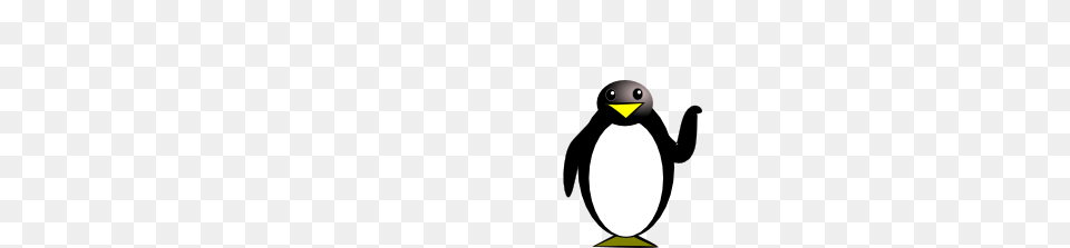 Penguin Clip Art Vector, Animal, Bird, King Penguin Free Png