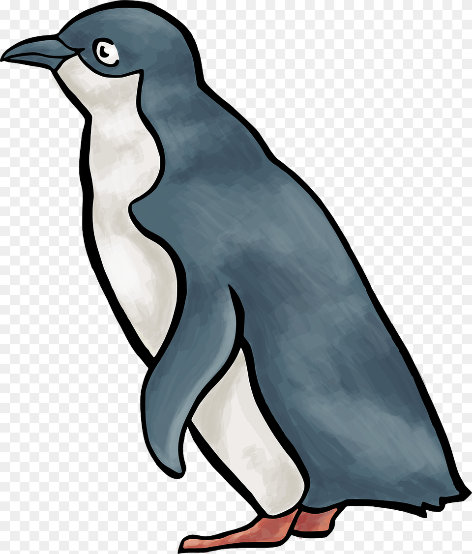 Penguin Clip Art Vector Graphics Royalty Image Little Blue Penguin Clipart, Animal, Bird Free Png