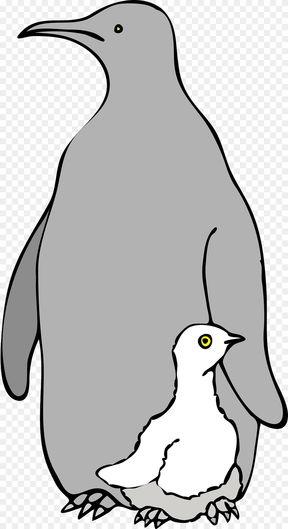 Penguin Clipart, Animal, Bird, Kangaroo, Mammal Free Png